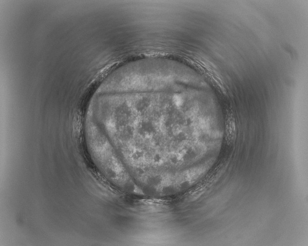 X0000115550367200912041036