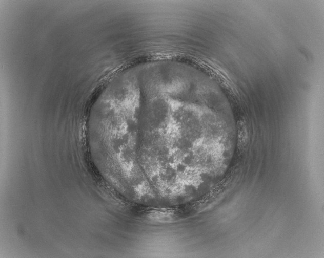 X0000115550369200912041037