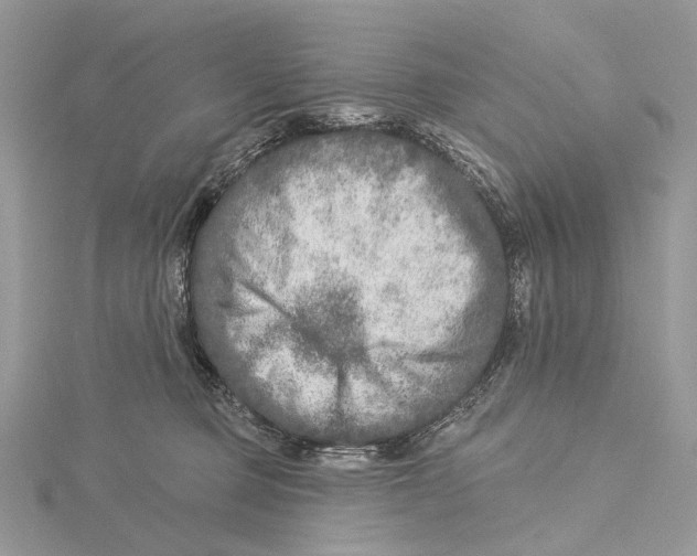 X0000115550373200912041037