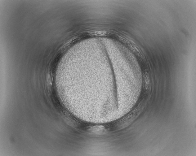 X0000115550374200912041037