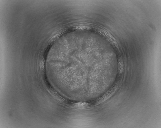 X0000115550375200912041037