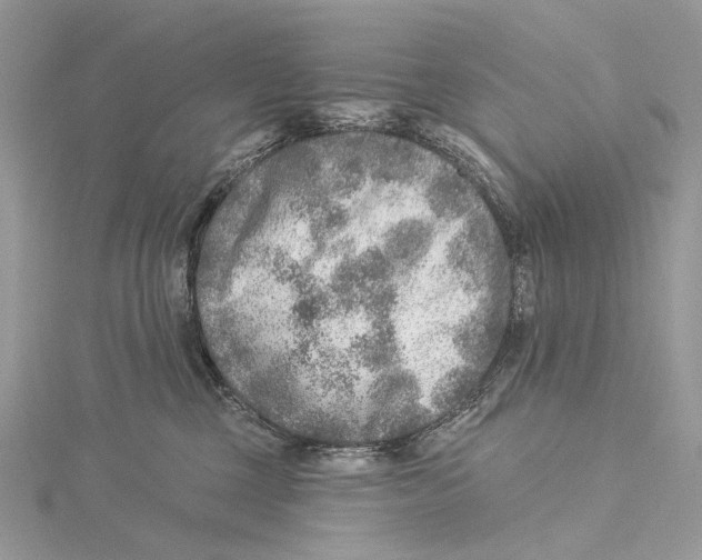 X0000115550377200912041037