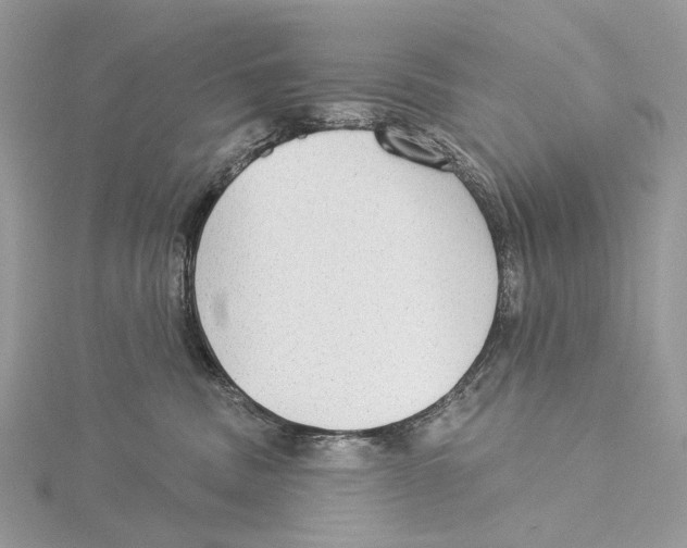 X0000115550379200912041037