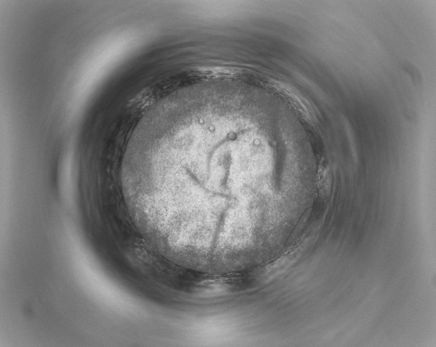 X0000115550381200912041037