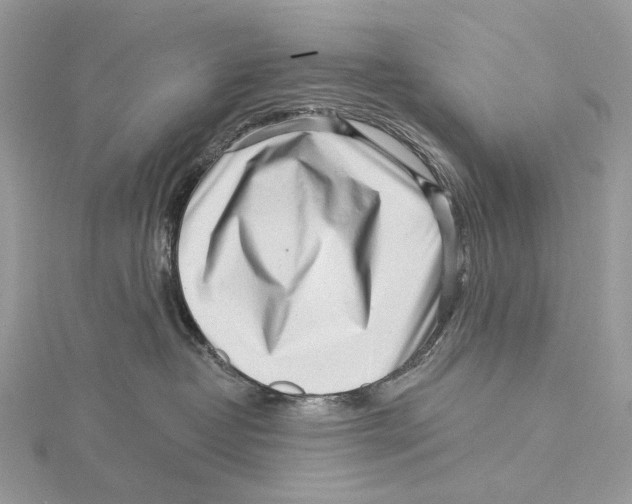 X0000115550382200912041037