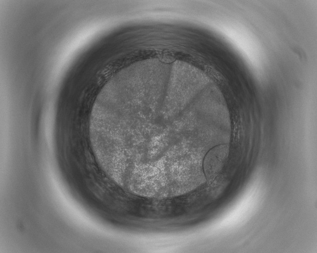 X0000115550383200912041037