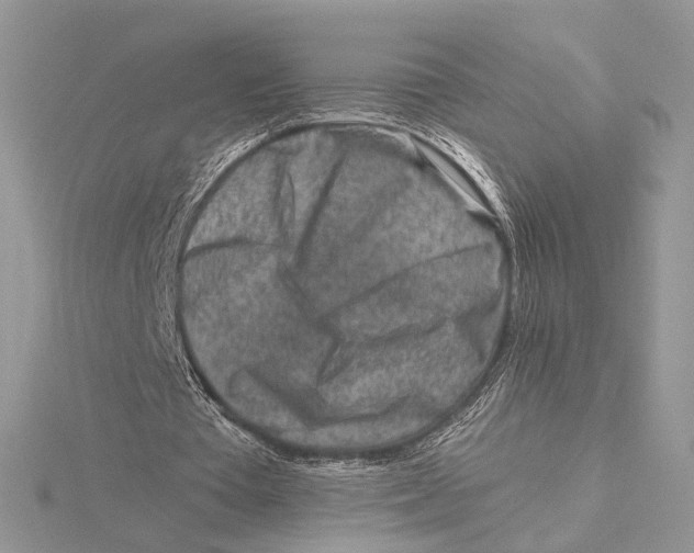 X0000115550385200912041036