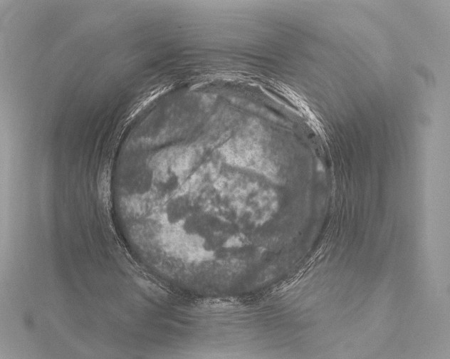 X0000115550386200912041036