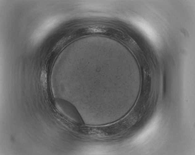 X0000115550387200912041036