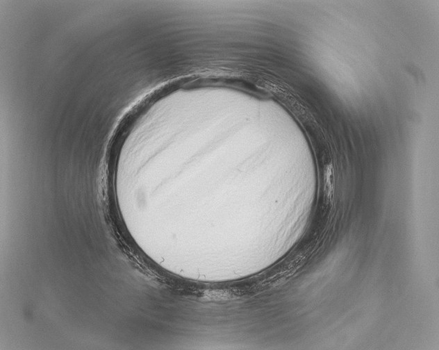 X0000115550388200912041036