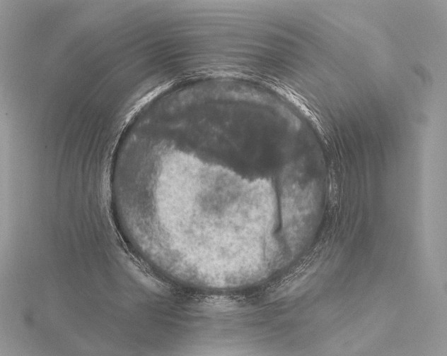 X0000115550390200912041036