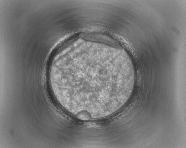 X0000115550392200912041036