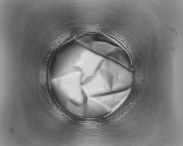 X0000115550393200912041036