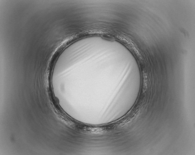 X0000115550395200912041036