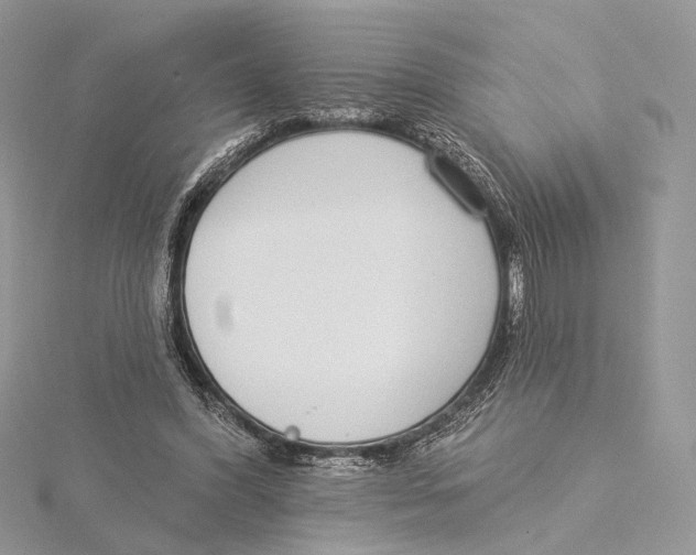 X0000115550396200912041036