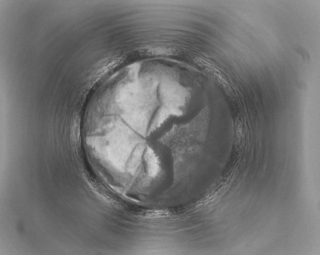 X0000115550398200912041036