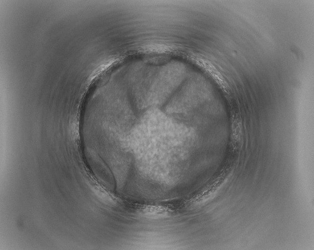 X0000115550399200912041036