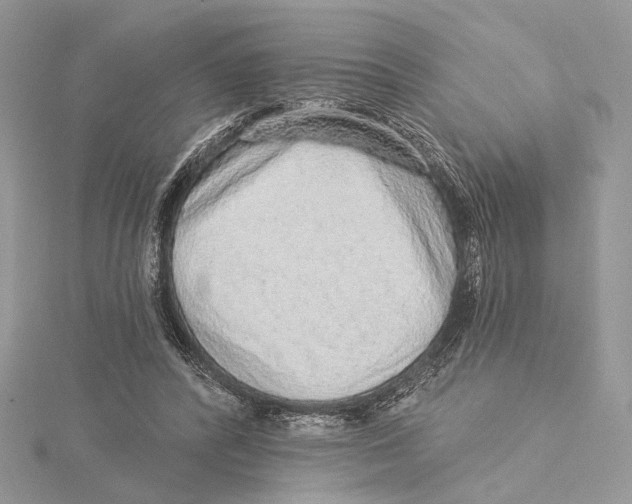 X0000115550400200912041036