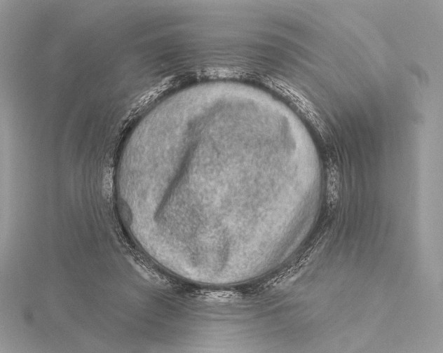 X0000115550401200912041036