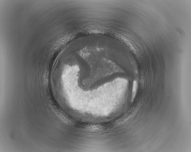 X0000115550402200912041036