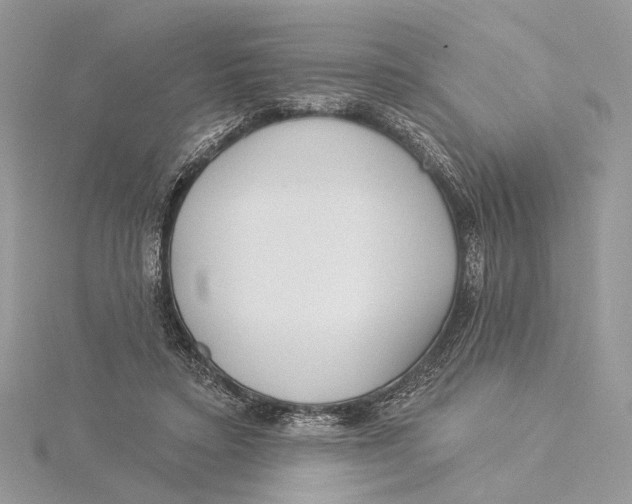 X0000115550403200912041036