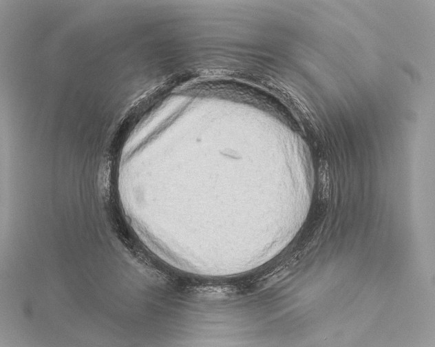 X0000115550404200912041036