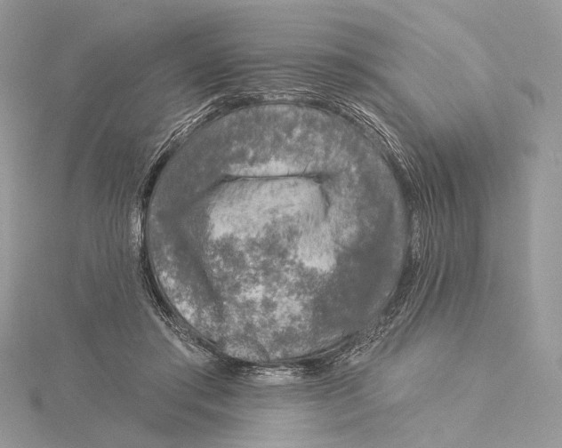 X0000115550405200912041036