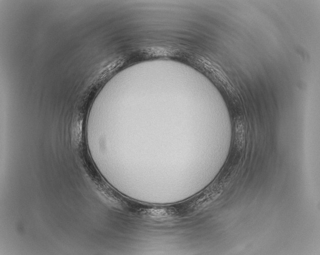 X0000115550406200912041036