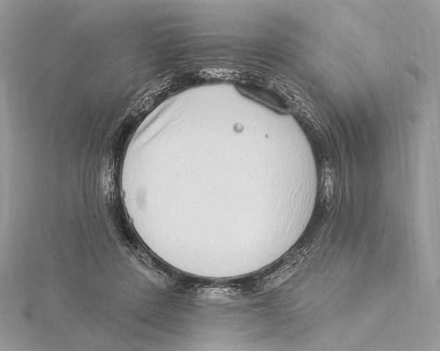 X0000115550408200912041036