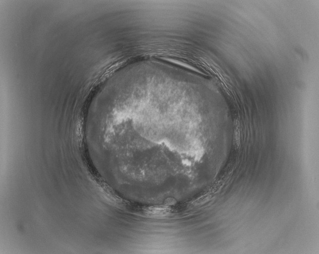 X0000115550410200912041036