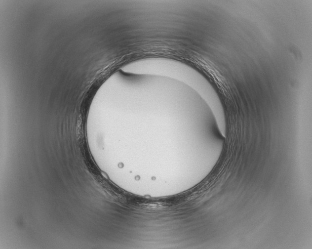 X0000115550411200912041036