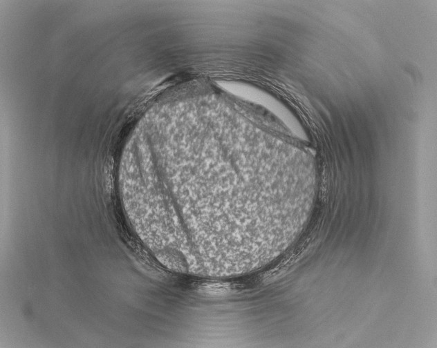 X0000115550413200912041036