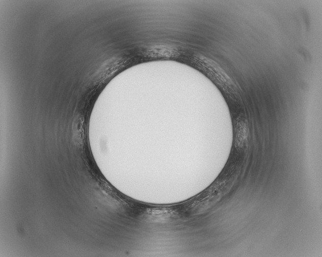 X0000115550414200912041036