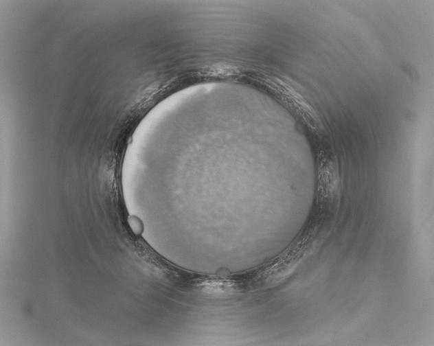 X0000115550415200912041036