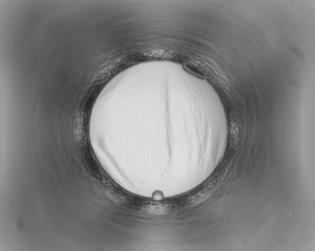 X0000115550416200912041036