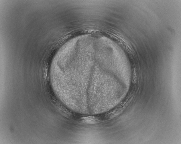 X0000115550417200912041036