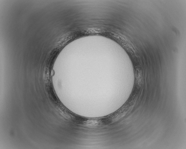 X0000115550418200912041036