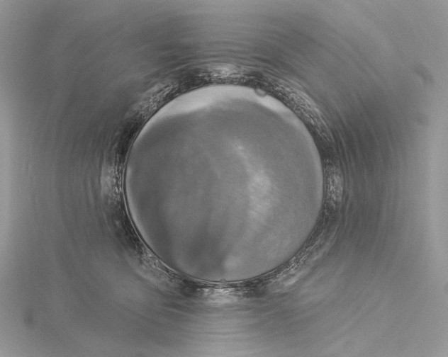 X0000115550419200912041036