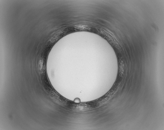 X0000115550420200912041036