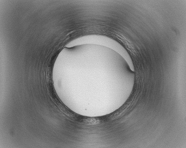 X0000115550421200912041036