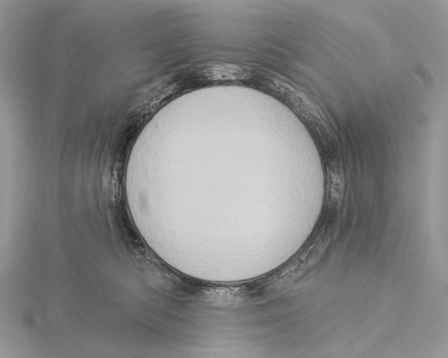 X0000115550422200912041036