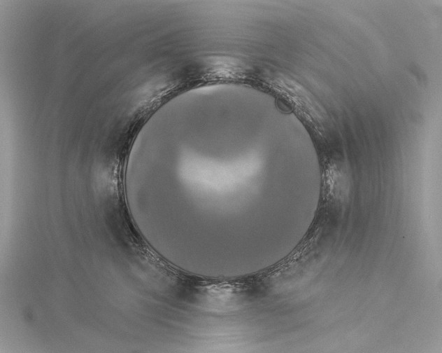 X0000115550423200912041036