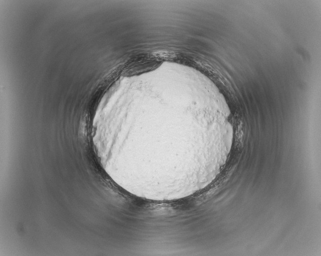 X0000115550424200912041036