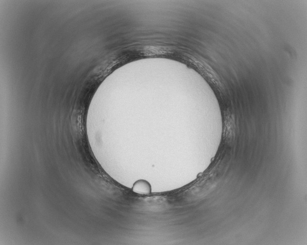 X0000115550426200912041036