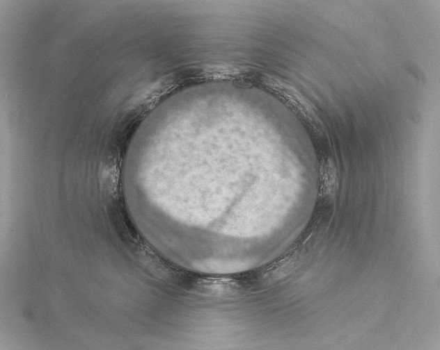 X0000115550427200912041036