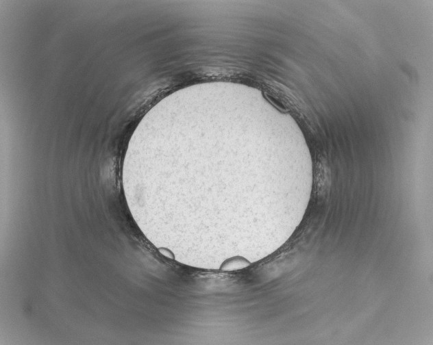 X0000115550428200912041036