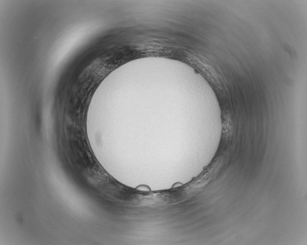 X0000115550430200912041036