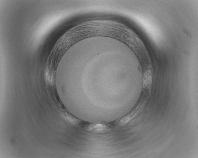 X0000115550431200912041035