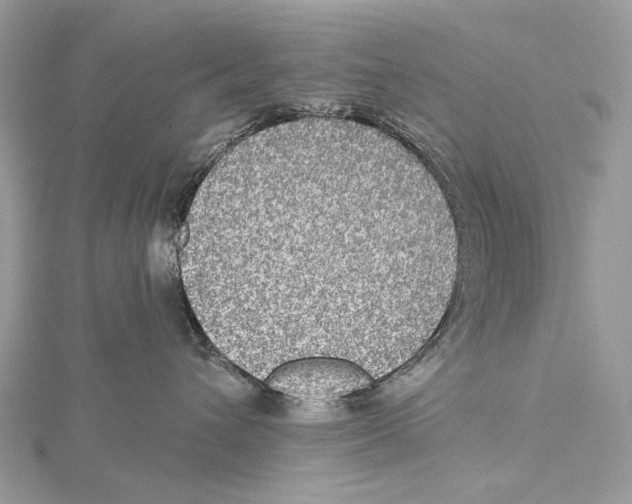 X0000115550432200912041035