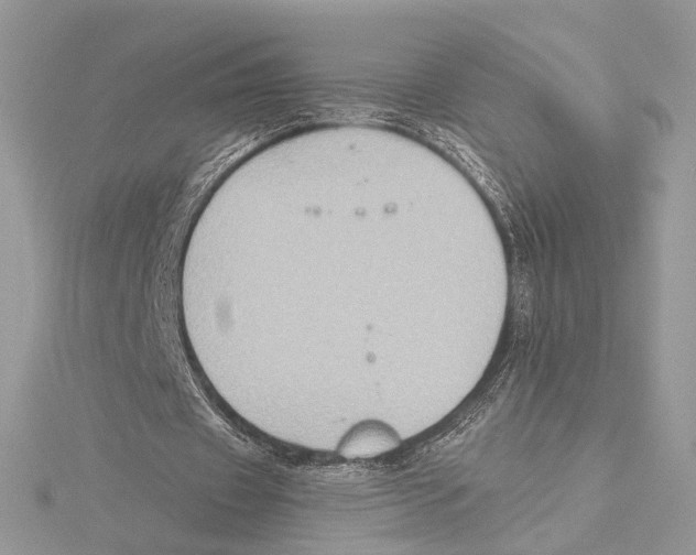 X0000115550433200912041035